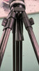 Tripod Sachtler System Ace XL with CF Legs & Ground Spreader (75mm Bowl)(MFR: 1019C) (125)