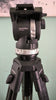 Tripod Sachtler System Ace XL with CF Legs & Ground Spreader (75mm Bowl)(MFR: 1019C) (125)