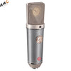Neumann TLM 67 Multi-Pattern Switchable Studio Microphone (Pearl Gray/Nickel) - Studio AMG