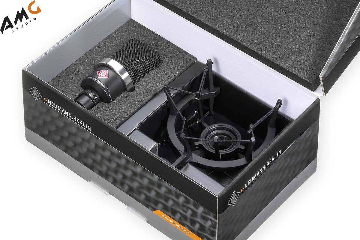 Neumann TLM 102 Studio Set with EA 4 Shockmount STUDIO