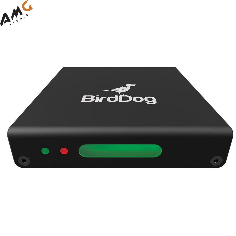 BirdDog Mini HDMI to NDI encoder with Tally and PoE - Studio AMG
